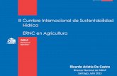III Cumbre Internacional de Sustentabilidad Hídrica ERNC ... · Agricultura . PEQUEÑO AGRICULTOR AGRICOLA • Menos de 12 Hectáreas de Riego Básico. • Cuyos activos no superen