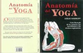 Anatomía del Yoga - ajuyoga.files.wordpress.com · YOGA del por de yoga! Con ... Indices alfabéticos de asanas en sánscrito y español . AGRADECIMIENTOS ... de explora la anatomia