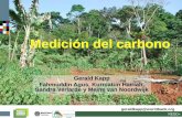 Medición del carbono - The Forest Carbon Partnership Facility · Cambio en los reservorios de C en materia orgánica muerta , derivados de cambios del tipo de uso de la tierra .