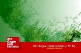 Micología médica básica, 5ª. Ed. - Novellanovella.mhhe.com/sites/dl/free/000001404x/1069681/Bonifaz_P05_28.pdf · Bonifaz | Capítulo 28. Mucormicosis y entomoftoromicosis (zigomicosis)