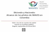 Diciendo y Haciendo: Alcance de los pilotos de WAVES en ... · y herramientas de política pública que garanticen la oferta y calidad del recurso ... • Indicadores relevantes •Comités