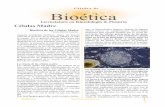 Licenciatura en Kinesiología & Fisiatría Células Madreecaths1.s3.amazonaws.com/bioetica/CelualsMadre.pdf · 1 . del organismo. Según este criterio, los científicos han distinguido