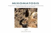 1. ¿Qué es la Mixomatosis y qué agente patógeno la produce? · Los mixomas aparecen habitualmente en la cabeza, siendo en ocasiones muy evidentes en los ojos, boca y orejas, pero