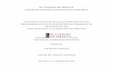 EL COLEGIO DE MÉXICO - phronesis.cide.eduphronesis.cide.edu/conacytfiles/TCONACYT200466.pdf · este trabajo de investigación de largo aliento para el cual conté con una beca del