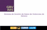 Sistema de Gestión de Datos de Violencias de Género · • orientación sexual/ identidad de genero, • etapa de desplazamiento en el momento del incidente ... ¿La/el víctima/sobreviviente