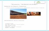 Proyecto: SUINOCULTURA - archivo.seam.gov.pyarchivo.seam.gov.py/sites/default/files/users/control/7732_vanesa... · “Proyecto: “SUINOCULTURA”. Relatorio de Impacto Ambiental