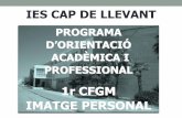 IES CAP DE LLEVANT - c07007954.eduwebs.caib.esc07007954.eduwebs.caib.es/...1rCFGM_PERRUQUERIA_1415_14dejuny.pdf · • Colors (colometria) • Acabats La PIME (patronal) organitza