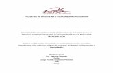GENERACIÓN DE ESCENARIOS DE CAMBIO CLIMATICO …dspace.udla.edu.ec/bitstream/33000/2525/1/UDLA-EC-TIAM-2014-13.pdf · un modelo matemático acoplado a la zona norte de la región