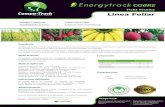 Energytrac k COBRE - campo-track.com · Riego de goteo: 0,5 - 1 lt/ha aplicado al ˜nal del ciclo de riego. Indicaciones Adicionales Almacenamiento Energytrack Cobre es un fertilizante