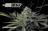 CANNABIS SEEDS BANK - bsfseeds.com · cultivando las mejores variedades de cannabis del mundo nace BSF seeds, un nuevo concepto de banco de semillas. Seleccionamos las ... las sativas