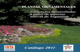 Diapositiva 1 - yuyoschubutenses | Plantas nativas de la … · desarrolladas a partir de la flora nativa de Argentina. Diversas técnicas del mejoramiento clásico y biotecnológicas