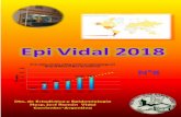 Epi Vidal 2018 · Epi Vidal 2018 Dto. de Estadística y Epidemiología Página 3 Índice epidémico: Por debajo de lo esperado Dentro de lo esperado o normal