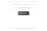 Víbora áspid – Vipera aspis (Linnaeus, 1758)digital.csic.es/bitstream/10261/109417/3/vipasp_v2.pdf · Martínez-Freiría, F. (2015). Víbora áspid – Vipera aspis.En: Enciclopedia