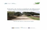 Estudio de Potencialidad de Biomasa para Aprovechamiento ... · Estudio de Potencialidad de Biomasa para Aprovechamiento Energético Marco de Jerez y Sierra de Cádiz