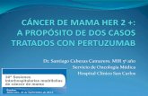 Dr. Santiago Cabezas Camarero. MIR 5º año Servicio de ... · CASO 2 . PERTUZUMAB 420 mg (840 mg carga C1) TRASTUZUMAB 6 mg/kg (8 mg/kg carga C1) DOCETAXEL 75 mg/m2 . CARBOPLATINO