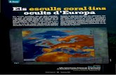 Omnis cellula Revista - publicacions.iec.cat · i la geobiologia i han ajudat a establir que els coralls d’aigües fredes poden construir autèntics esculls si es donen les condicions
