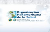 LEPTOSPIROSIS - paho.org · 20/153 Estratificación de riesgo de leptospirosis para Nicaragua ... Sobre roca pyroclastica y lava. Suelo jóvenes con cambios en el color, la estructura