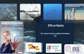 ETIS EN E - APIH - Associação Portuguesa de Infecção ... · • Menor riesgo iatrogénico en el manejo de CVC. ... (GAVeCeLT), Società Infermieristica Italiana Gestione Impianto