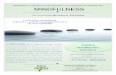 MINDFULNESS · aprende a controlar el estrÉs y la ansiedad atravÉs del mindfulness 2 talleres intensivos sÁbado 21 y 28 de noviembre de 2015 de 10 a 14 horas