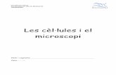 Les cèl·lules i el microscopi¨l... · 2013-09-29 · La cèl·lula (del llatí cellulae: petit compartiment o cel·la) és la unitat estructural i funcional principal dels éssers