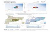 Fitxa Informe econòmic Municipi: Figueres superficie (Km2 2010/Figueres.pdf · Fitxa Informe econòmic cens Municipi: Figueres superficie (Km2) Empreses per dimensions Empreses per