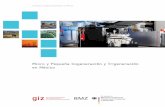 Micro y Pequeña Cogeneración y Trigeneración en México · 2 La Comisión Nacional para el Uso Eficiente de la Energía (Conuee) agradece a la Deutsche Gesellschaft für Internationale