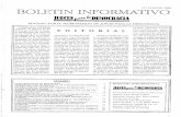 N.º 15JUNIO 1996 BOLETIN INFORMATIVO - juecesdemocracia.es 15.pdf · sabilidad de quienes han prota-gonizado conductas violentas contra los inmigrantes, así co-mo de aquellas autoridades