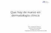 Que hay de nuevo en dermatologia clinica - SADEVEsadeve.com.ar/.../01/Que-hay-de-nuevo-en-dermatologia-clinica-A.pdf · Que hay de nuevo en dermatología clínica M.V. Alejandro Blanco
