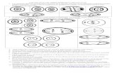 tapiasarnulfo.files.wordpress.com  · Web viewLas siguientes graficas corresponden a las fases de la mitosis, con base en las fotocopias facilitadas usted(s) debe(n) ordenarlas acorde
