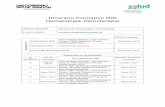 Itinerario Formativo MIR Hematología-Hemoterapiasectorzaragozados.salud.aragon.es/...HEMATOLOGIA...2019_41c6cca5.pdf · INTRODUCCIÓN: El Servicio de Hematología-Hemoterapia del