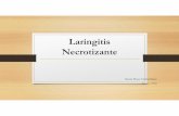 Laringitis Necrotizante - patolgiafes.files.wordpress.com · •La difteria de los terneros afecta principalmente al ganado de cebadero entre los 3 y 18 meses de edad • Se han descrito