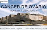 CÁNCER DE OVARIO - cancer ovario.pdf · cánceres de ovario son de origen epitelial Actualmente se distinguen al menos 5 tipos principales • Ca. seroso de alto grado (70%)