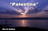 “Palestina” - Editorial La Paz. Sana doctrina ... · Tierra bendita y divina era la Palestina donde nació Jesús. Era de las naciones cumbre, bañada con la lumbre que derramó