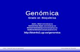 Genómica - bioinfo2.ugr.es ·  Universidad de Granada • Genómica estructural - Su objetivo es generar y analizar la secuencia y las propiedades conformacionales ...