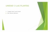 UNIDAD 3 LAS PLANTAS - stls.cl VIRTUAL/3B/ciencias/ppt/partes de...Te invito a conocer el maravilloso mundo de las plantas ¿Qué son las plantas?