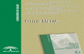  · – Miringitis. – Reagudizaciones de otitis media crónica simple o colesteatomatosa. 14 PROCESO OTITIS MEDIA Observaciones: Se incluyen 3 Subprocesos: Otitis Media ...
