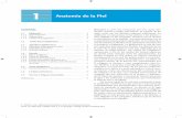 1 Anatomía de la Pielmedia.axon.es/pdf/88064_1.pdf · 2 Aplicaciones Estéticas de la Luz Pulsada Intensa 1.1 de piel clara tienen pocos melanosomas los cuales son Epidermis La epidermis