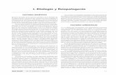 i. etiología y fisiopatogenia · I. Etiología y fitopatogenia Vol. 37, Suplemento , abril 20 4 S Factores genéticos ... familiar elevada, puede contribuir a la perpetuación del