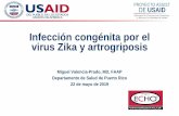 Infección congénita por el virus Zika y artrogriposismaternoinfantil.org/archivos/Didactica12.pdf · 1 Infección congénita por el virus Zika y artrogriposis Miguel Valencia-Prado,