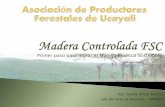 Primer paso para lograr el Manejo Forestal Sostenible · Primer paso para lograr el Manejo Forestal Sostenible Ing. Cecilia Alfaro Benites Jefe del Area de Bosques - APROFU-Convenio
