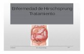 Enfermedad de Hirschsprung Tratamientoa/Lunes 24... · ENFERMEDAD DE HIRSCHSPRUNG. 11/05/2017 Dra. Susana Noriega ENFERMEDAD DE HIRSCHSPRUNG. 7/57. Complicaciones Inherentes a la