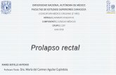 MÓDULO | APARATO DIGESTIVO fileProlapso rectal | Concepto 10/06/2018 Es la salida de todo el espesor del recto que conduce a su exteriorización hacia el conducto anal