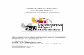 UNIVERSIDAD MIGUEL HERNÁNDEZ FACULTAD DE …dspace.umh.es/bitstream/11000/3887/1/GARCÍA NÚÑEZ, FEDERICO LUIS.pdf · músculos abductor (gluteus medius) ... sido por diferentes