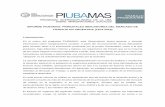 INFORME PIUBAMAS: PRINCIPALES INDICADORES DEL …cyt.rec.uba.ar/sitios/piubamas/SiteAssets/Documentos del Sitio/INFORMES... · INFORME PIUBAMAS: PRINCIPALES INDICADORES DEL MERCADO