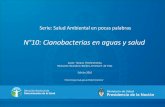 Serie: Salud Ambiental en pocas palabras - toxicologia.org.ar · Acerca de las cianobacterias en aguas Las cianobacterias son organismos microscópicos fotosintéticos, conocidos