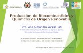 Presentación de PowerPoint - rtbioenergia.org.mxrtbioenergia.org.mx/wp-content/uploads/2017/12/4_AlejandraVargas_ProduccionBio... · Hidrólisis Termoquímica (HT) Químicos AFEX