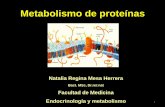 Metabolismo de proteínas - medicina.udea.edu.comedicina.udea.edu.co/emd/metabolismo/proteinas/PRO-1-2010-2.pdf · Objetivos 2 1. Conocer la utilización del nitrógeno 2. Conocer