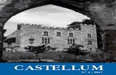 CASTELLUM · CASTELLUM N 22017 2 Viaje a Tarragona (Muralla romana) Como ya es tradición en la Asociación de Amigos de los Castillos, celebramos el Día de los Castillos, en esta