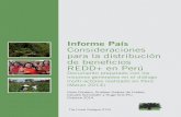 Informe País Consideraciones para la distribución de ... · Informe País Consideraciones para la distribución de beneficios REDD+ en Perú Documento preparado con los insumos