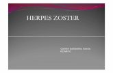 HERPES ZOSTER [Modo de compatibilidad] - dep4.san.gva.es · de herpes zoster es muy poco frecuente en pacientes con edades menores a 50-60 años. En pacientes con edades superiores